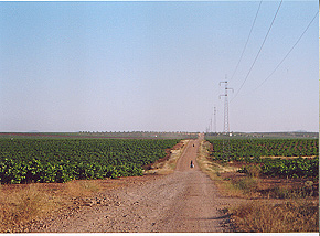 Campos y iglesia de Villafranca de los Barros